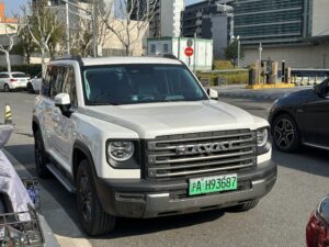 Haval Menglong